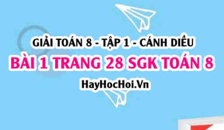 Giải bài 1 trang 28 Toán 8 Tập 1 SGK Cánh Diều